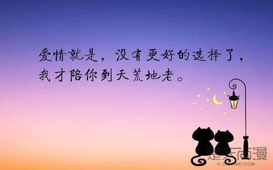 陪你到天荒地老是什么歌