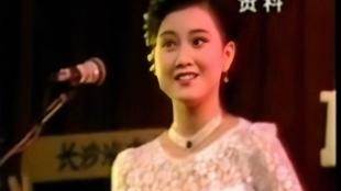 阿哥妹妹我在等着你是什么歌