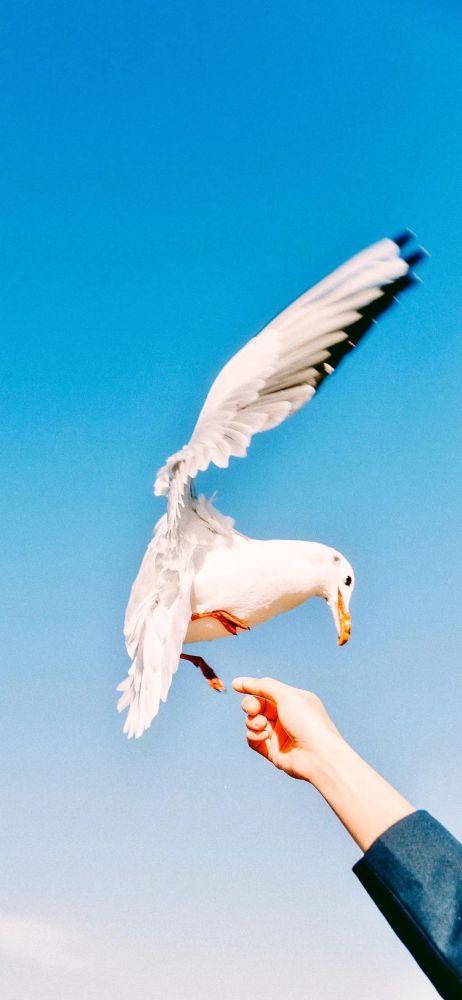 晚风吹过你的温柔是什么歌