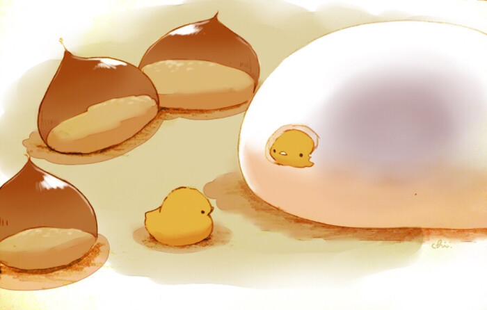 先有啥是小鸡还是蛋是什么歌