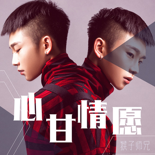 心甘情愿被你俘虏是什么歌