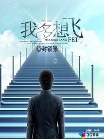 我多想飞多远都不会累是什么歌