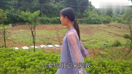 求求你给点力是什么歌?