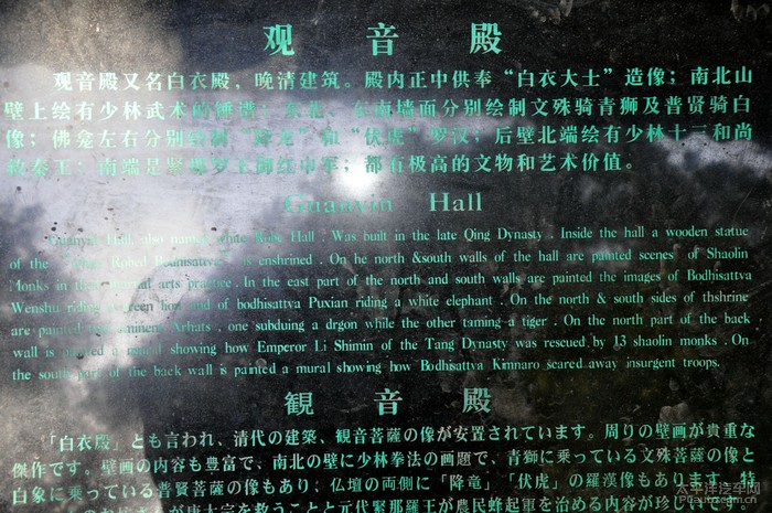 心会跟爱一起走说好不回头是什么歌