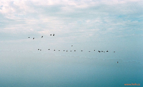 天上下雨地上滑是什么歌