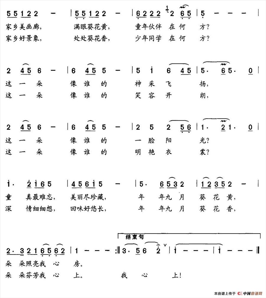 葵花黄，葵花香简谱