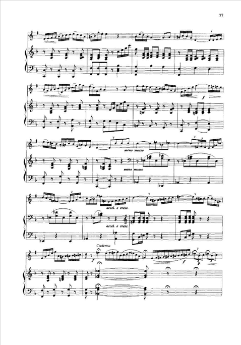 幻想随想曲简谱