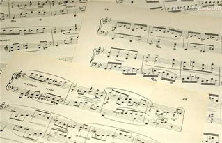 100首带有星字的歌曲，有个星字的歌名