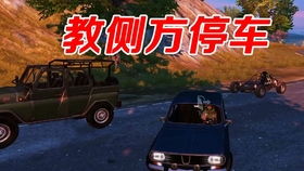 2022吃鸡开车背景女声音乐,2023和平精英开车时候放的中文歌