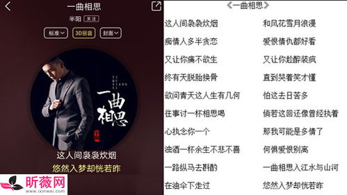 2022网红歌曲100首，2022抖音歌曲100首