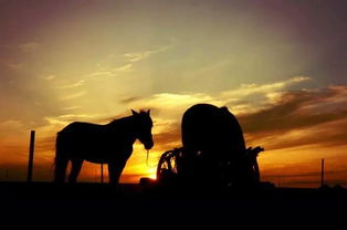 2022爆红的草原歌曲，蒙古歌曲《远方的思念》