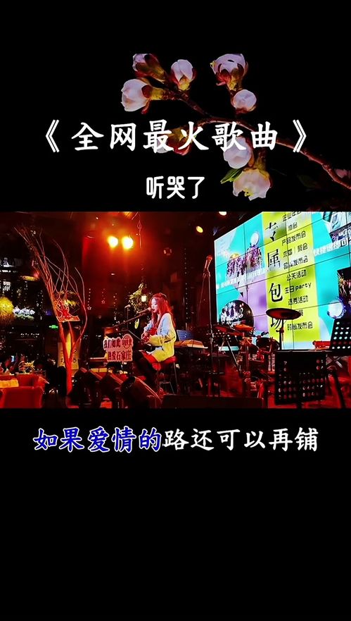 2012年最火歌曲15首，2012年火的歌曲歌单