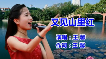 2000到2009最火的歌，曾经爆红的网络歌曲