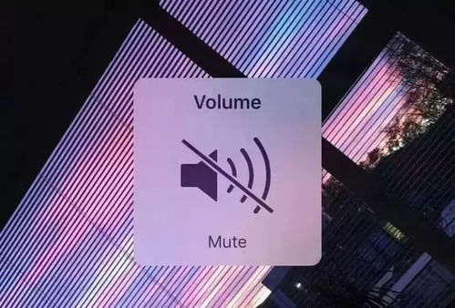 2022年一夜爆红15首歌，十大抖音最火的歌曲