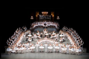 2023巴黎有哪些演唱会，巴黎歌剧院2023年演出