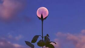 10分钟的中文歌,8分钟以上的歌曲有哪些