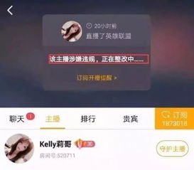 2006年篡改国歌事件始末，2006年篡改国歌视频播放