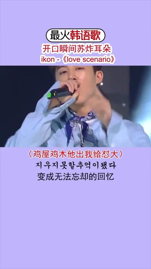 2009年最火的歌，2008年很火的网络歌曲