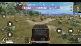 2023和平精英车载音乐，2023吃鸡车载中文音乐