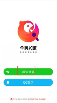 666朵花在k歌什么意思，男人送女人1K币什么意思