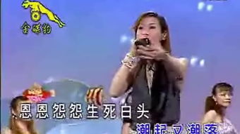 24首酒廊情歌，金碟豹12大美女经典老歌