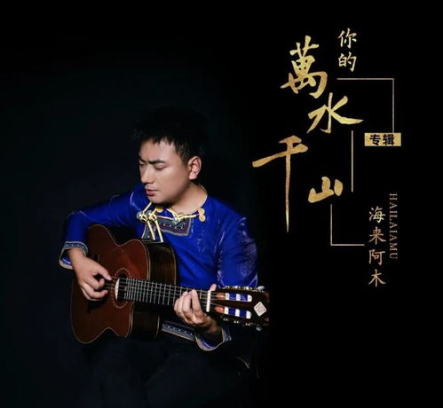 2023海来阿木最火的十首歌，《凉凉》原唱