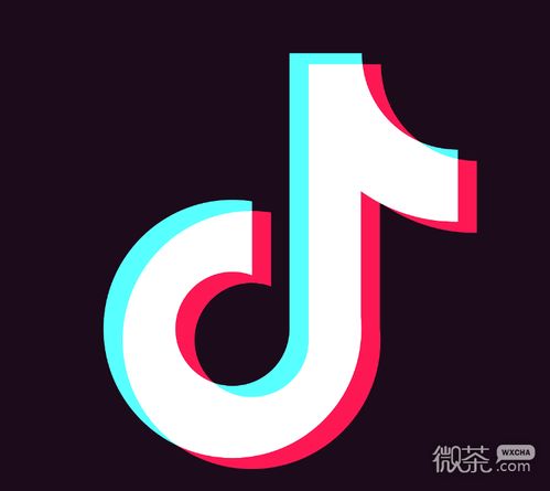 2023抖音最火DJ歌曲前十名，2023年最火的抖音歌