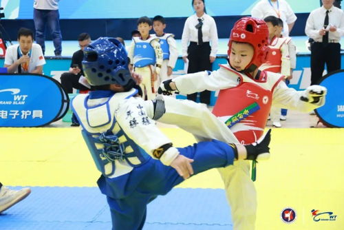 2023跆拳道比赛时间，跆拳道2023年竞技新规则