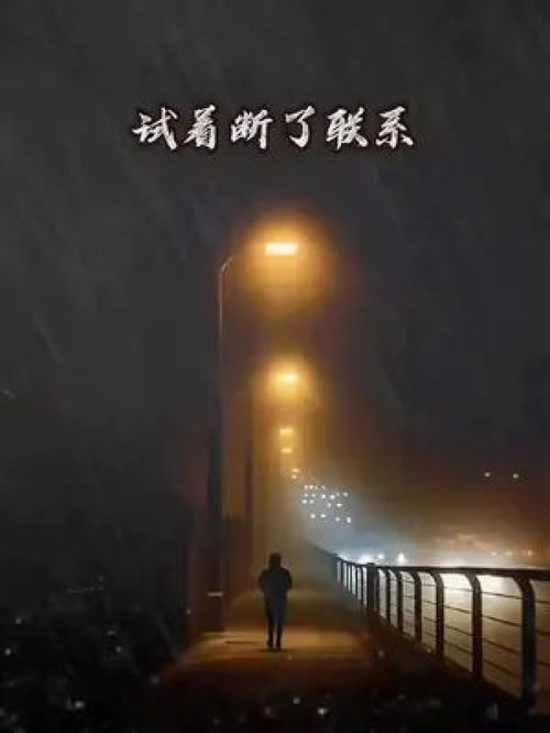 2023年网络伤感歌曲,十大撕心裂肺伤感情歌