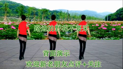 70岁老人爱听的经典老歌，老人喜欢听的歌