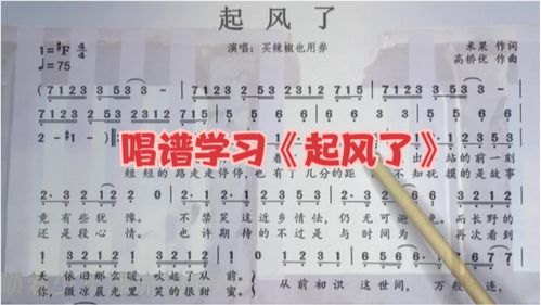 2023年最红网络歌曲，网络歌曲2023年流行歌曲排行榜
