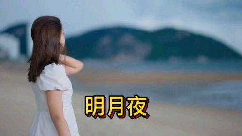 50首情人节经典情歌，最深情的经典情歌