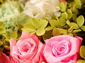 38朵花代表什么意思，男人发38暗示什么