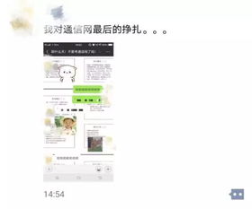 2023微信最火铃声歌单，微信原版铃声