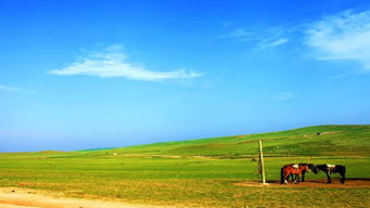 40首内蒙古草原歌曲，2023最火的草原歌曲