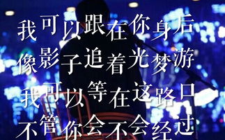 2023年最火的10首歌曲，2023年刷爆全网的歌曲