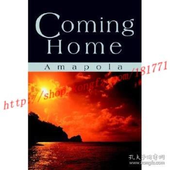 coming home这首歌表达了,coming home背景故事