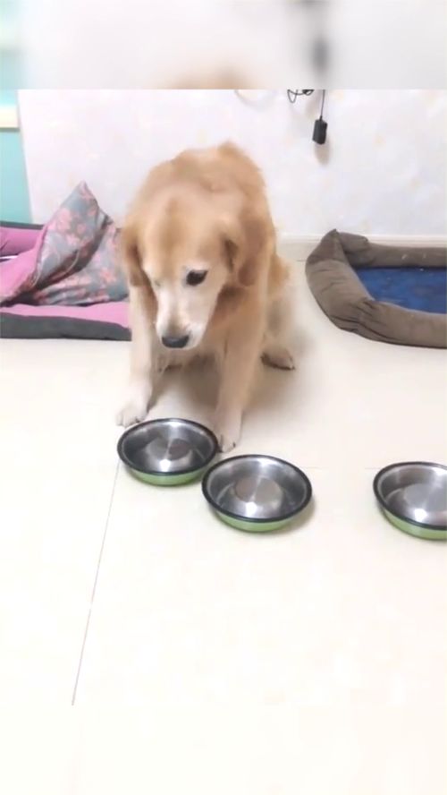 everybody艾瑞巴蒂，everybody在你头上暴扣歌词