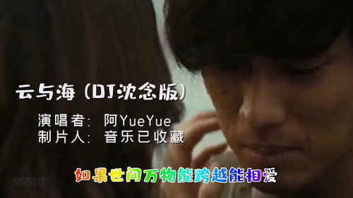 DJ沈念版是什么意思，DJ沈念版最火的歌曲