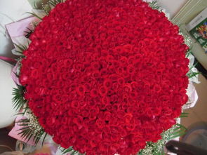 999朵玫瑰这首歌表达什么情感，999朵玫瑰代表什么爱情意思