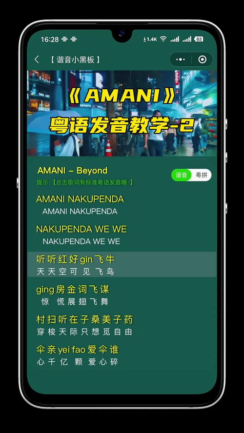 Amani中文名，amani英文翻译