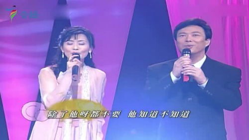 KTV双人情歌对唱经典，二人对唱经典老歌