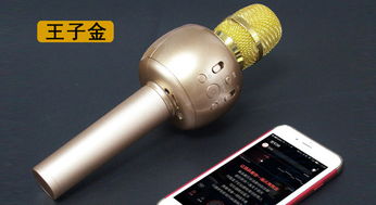KTV一般用什么麦克风，家用k歌麦克风推荐