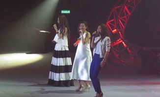 she为什么不能合体唱she的歌,hebe为什么封了