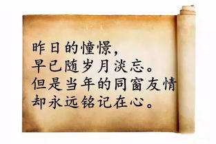 《一辈子同学情》歌词，同学聚会最火的一首歌