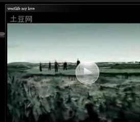 mylove这首歌表达意思，男人叫你mylove