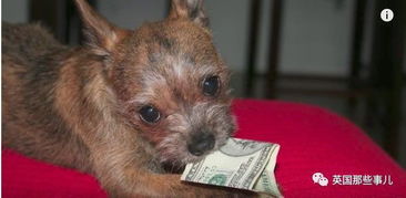 snoopy dog最火的一首歌，狗爷那首哒哒哒哒哒是啥歌