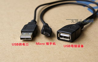 OTG未安装能自己安装吗，vivo存储里OTG怎么安装