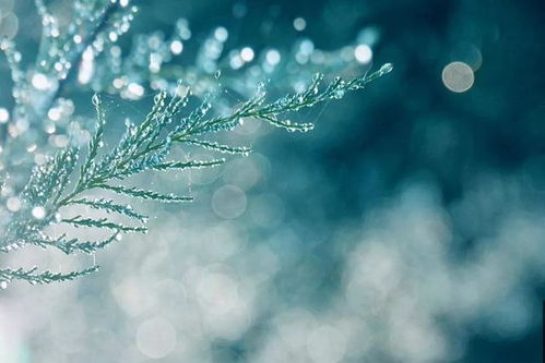 《秋浦歌》全部，《秋浦歌》李白 白发三千