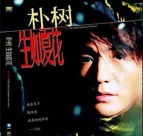 《生如夏花》歌曲，生如夏花歌词完整版